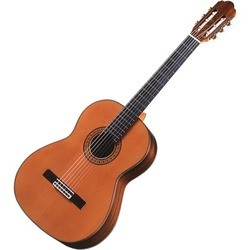 Antonio Sanchez 2500