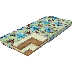 Dimax Sportsmen Plus (80x160)