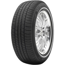 Michelin Energy LX4 245/60 R18 108T