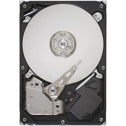 Seagate Barracuda 7200.12