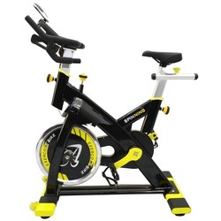 American Motion Fitness 8900S