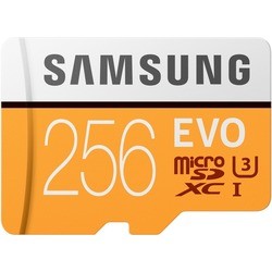 Samsung EVO microSDXC UHS-I U3 256Gb