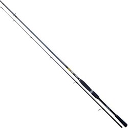 Fishing ROI XT-One 210-45