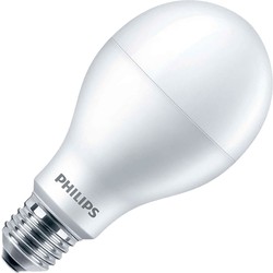 Philips LEDBulb A67 14.5W 6500K E27