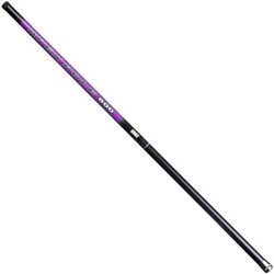 Brain Apex Pole New 600