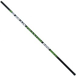 Brain Phantom Pole 800