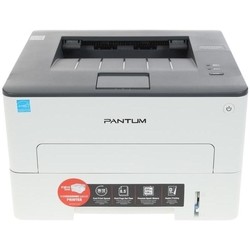 Pantum P3010D