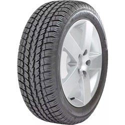 Novex Snow Speed 205/55 R16 91H