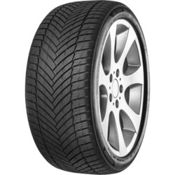 Minerva AS Master 205/50 R17 93W