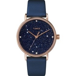 Timex TW2T87800