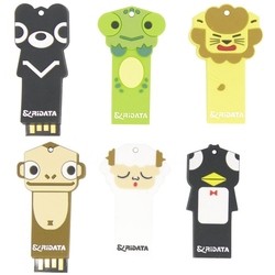 RiDATA Zoo Series 2Gb