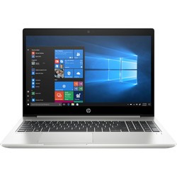 HP ProBook 455R G6 (455RG6 7QL74ES)