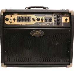 Peavey Ecoustic E110