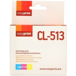 EasyPrint IC-CL513