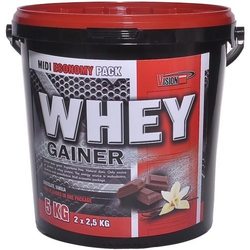 Vision Whey Gainer