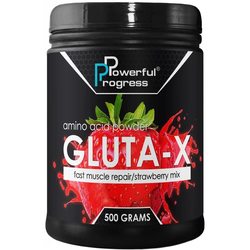 Powerful Progress Gluta-X 300 g