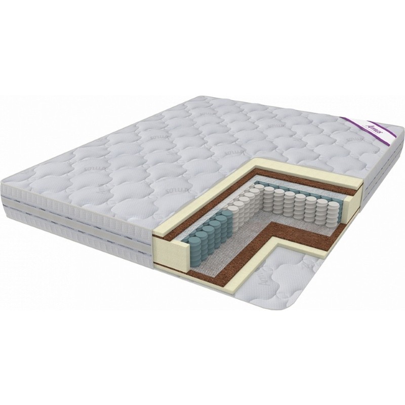 ARMOS Champion (80x195)