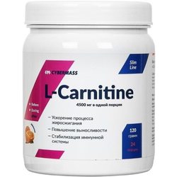 Cybermass L-Carnitine 120 g