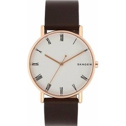 Skagen SKW6493