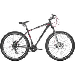 Ardis Titan 29 frame 21