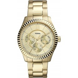 FOSSIL FS5632