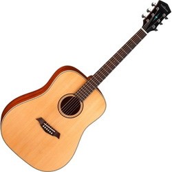 Cort Parkwood S21