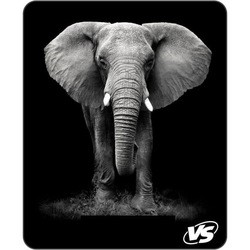 VS Fauna Elephant