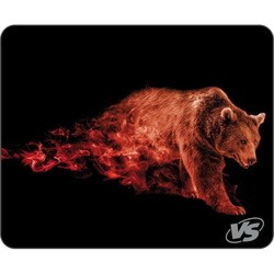 VS Flames Brown Bear