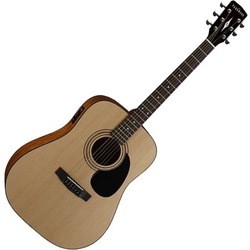 Cort Parkwood W81E