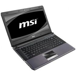 MSI X460DX-281