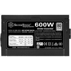 SilverStone SST-ST60F-ES230
