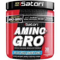 iSatori Amino-Gro 270 g