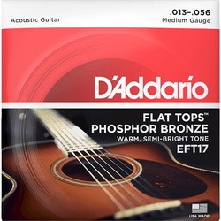 DAddario Flat Top Phosphor Bronze 13-56