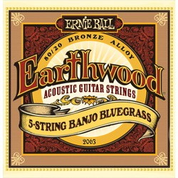 Ernie Ball Earthwood 5-String Mandolin 80/20 Bronze 9-20