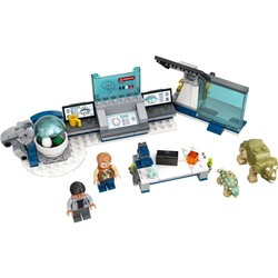 Lego Dr. Wus Lab Baby Dinosaurs Breakout​ 75939