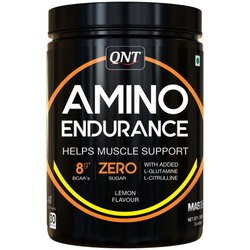 QNT Amino Endurance 350 g