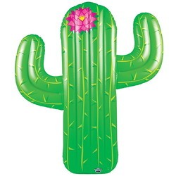 BigMouth Cactus BMPF-CT