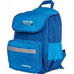 Polar P2301