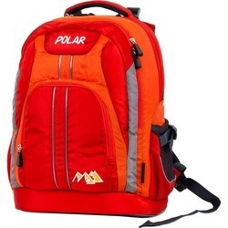 Polar P221