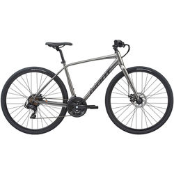 Giant Escape 3 Disc 2020 frame M