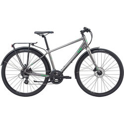 Giant Liv Alight 2 DD City Disc 2020 frame M