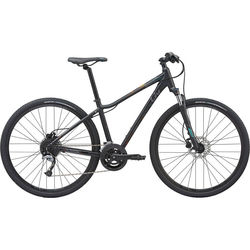 Giant Liv Rove 2 DD Disc 2020 frame M