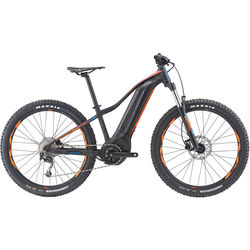 Giant Fathom E+ 3 29 Power 2019 frame M