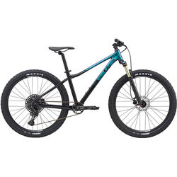 Giant Liv Tempt 1 2020 frame M