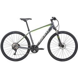 Giant Roam 1 Disc 2020 frame M