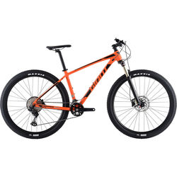 Giant Terrago 29 2 2020 frame S