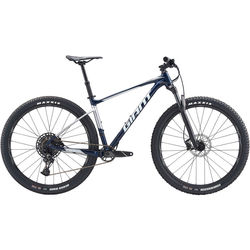 Giant Fathom 29 1 2020 frame M