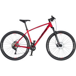 Author Radius 29 2020 frame 17