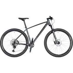 Author Orion 29 2020 frame 19
