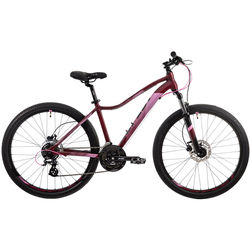 Aspect Oasis HD 2020 frame 14.5